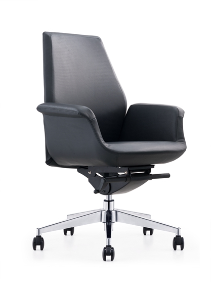 ƤCH-241B  (2)